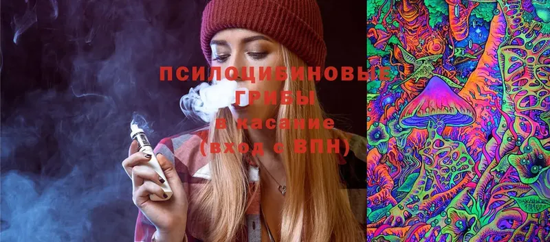 Псилоцибиновые грибы Psilocybine cubensis  shop состав  Дегтярск 